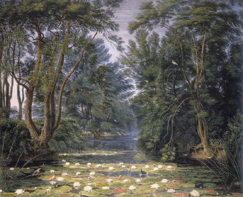 William Turner of Oxford Cherwell Water Lilies, oil painting image